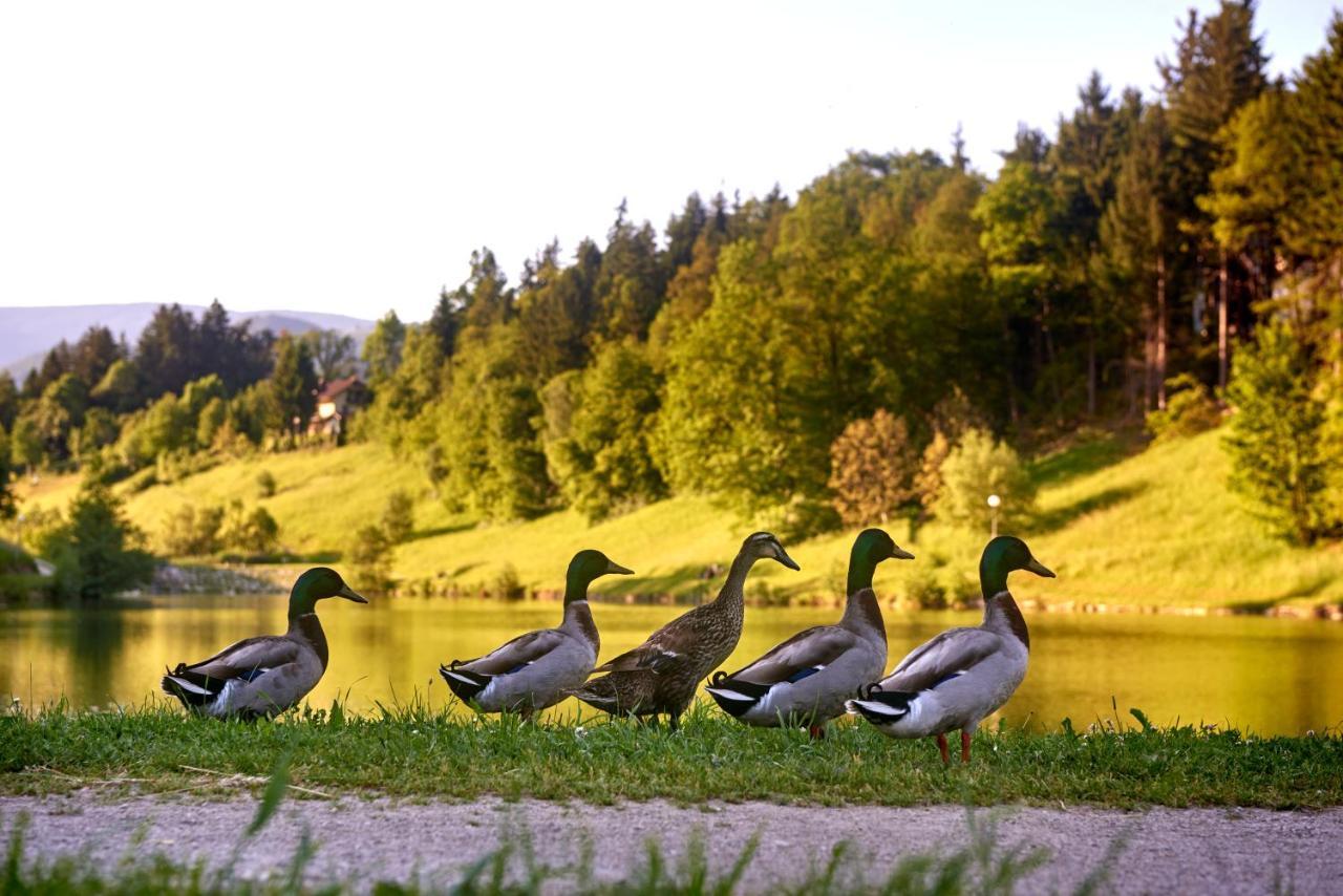Terme Zrece - Hotel Atrij ภายนอก รูปภาพ